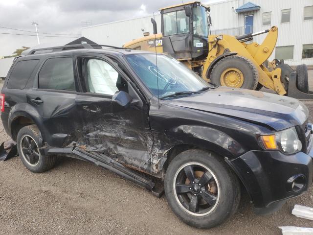 Photo 10 from auction – 2010 FORD ESCAPE XLT with VIN 1FMCU9DG0AKC39319