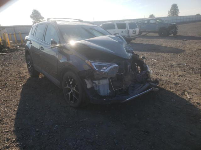 TOYOTA RAV4 SE 2016 with VIN 2T3JFREVXGW538044 - Photo from auction