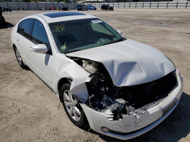 NISSAN MAXIMA SE 2006 with VIN 1N4BA41E46C853621 - Photo from auction