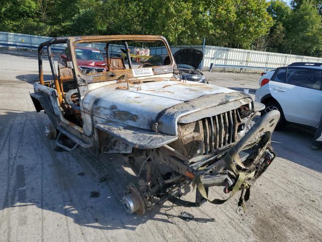 JEEP WRANGLER / 1993 with VIN 1J4FY19PXPP233520 - Photo from auction