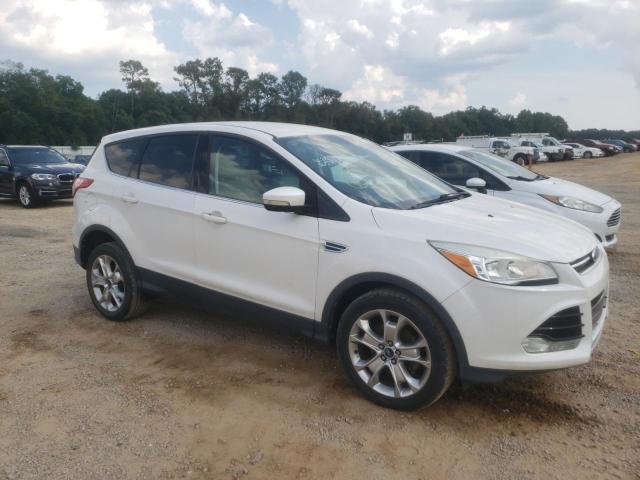 FORD ESCAPE SEL 2013 with VIN 1FMCU0HX5DUB57133 - Photo from auction