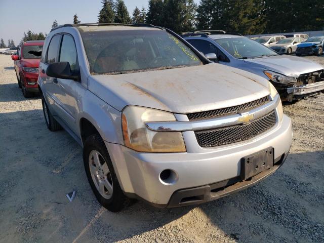 CHEVROLET EQUINOX LS 2009 with VIN 2CNDL13F296206175 - Photo from auction