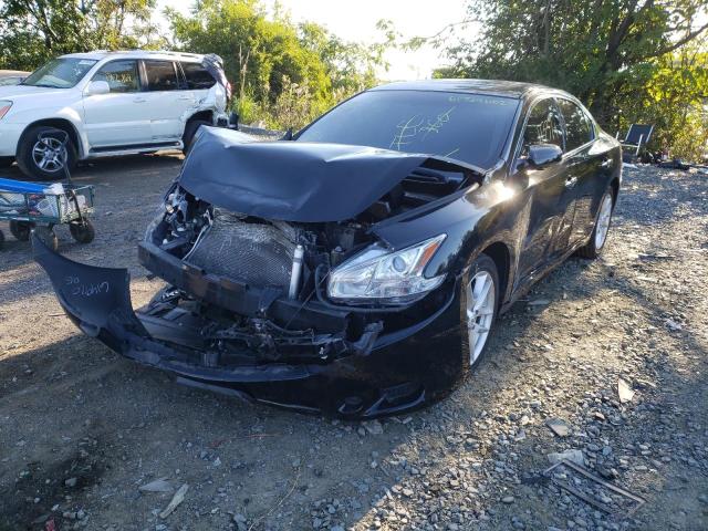 Photo 2 from auction – 2011 NISSAN MAXIMA S with VIN 1N4AA5AP8BC862559