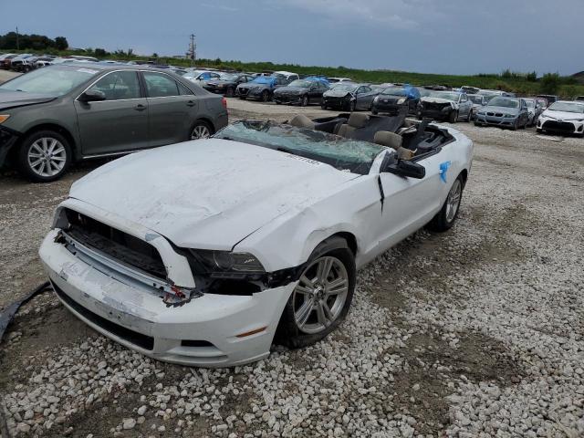 Photo 2 from auction – 2014 FORD MUSTANG with VIN 1ZVBP8EM0E5299804