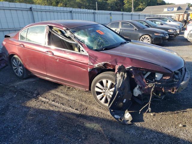 Photo 9 from auction – 2011 HONDA ACCORD EXL with VIN 1HGCP2F88BA048345