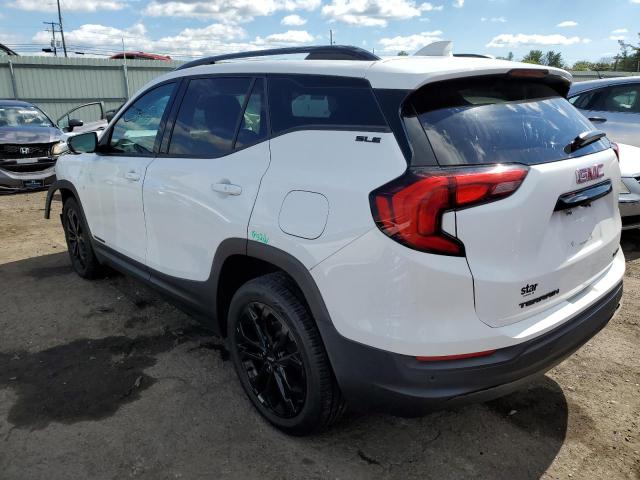 Photo 3 from auction – 2020 GMC TERRAIN SL with VIN 3GKALTEV9LL228267
