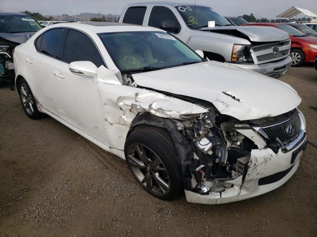 LEXUS IS 250 2010 with VIN JTHBF5C20A2095021 - Photo from auction