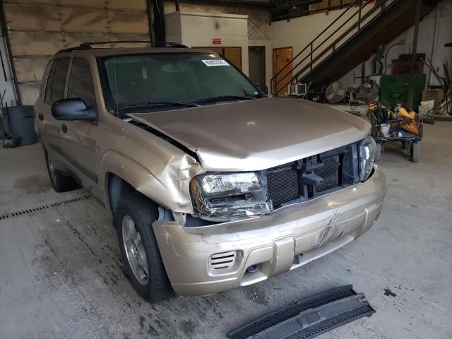 CHEVROLET TRAILBLAZE 2005 with VIN 1GNDT13S552230258 - Photo from auction