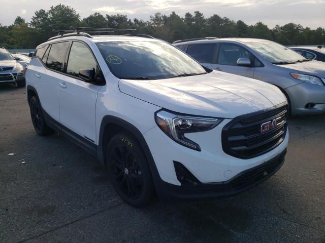 GMC TERRAIN SL 2019 with VIN 3GKALVEX2KL377373 - Photo from auction