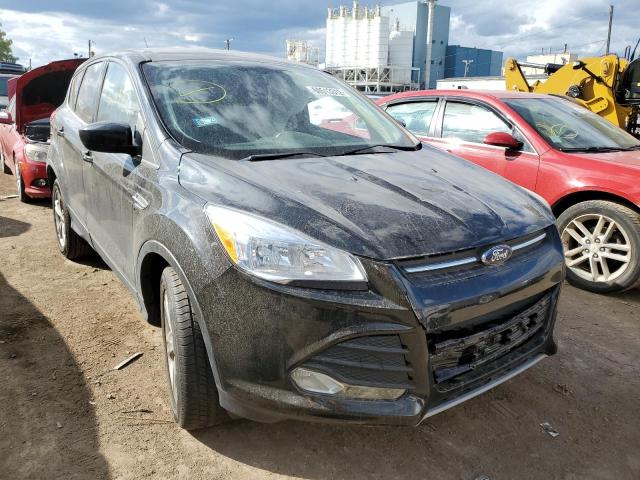 FORD ESCAPE SE 2014 with VIN 1FMCU0G94EUE48100 - Photo from auction
