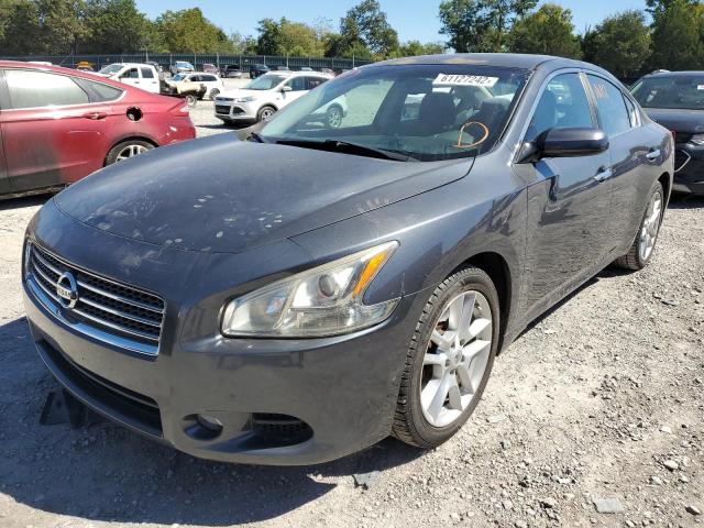 Photo 2 from auction – 2010 NISSAN MAXIMA S with VIN 1N4AA5AP7AC866245