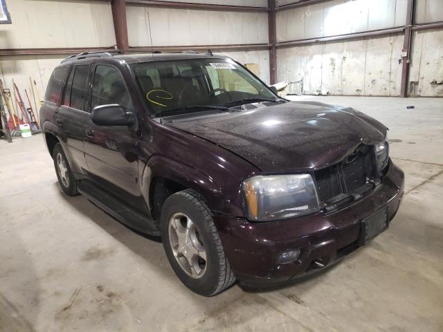 CHEVROLET TRAILBLAZE 2008 with VIN 1GNDT13S482244222 - Photo from auction