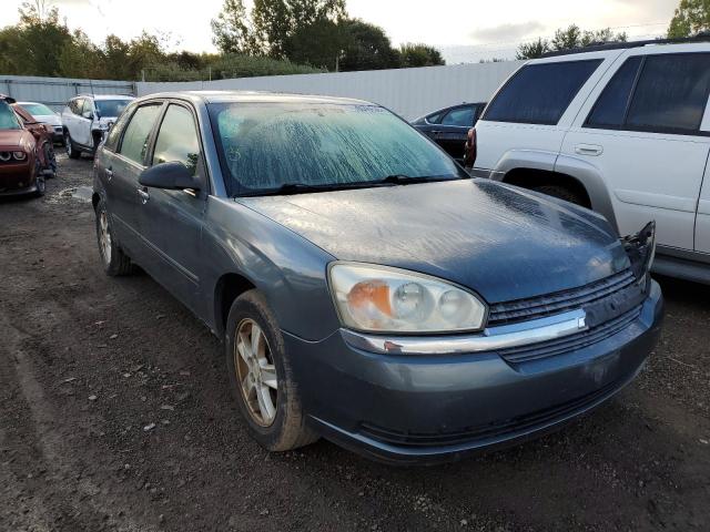 Photo 1 from auction – 2005 CHEVROLET MALIBU MAX with VIN 1G1ZT62895F118517
