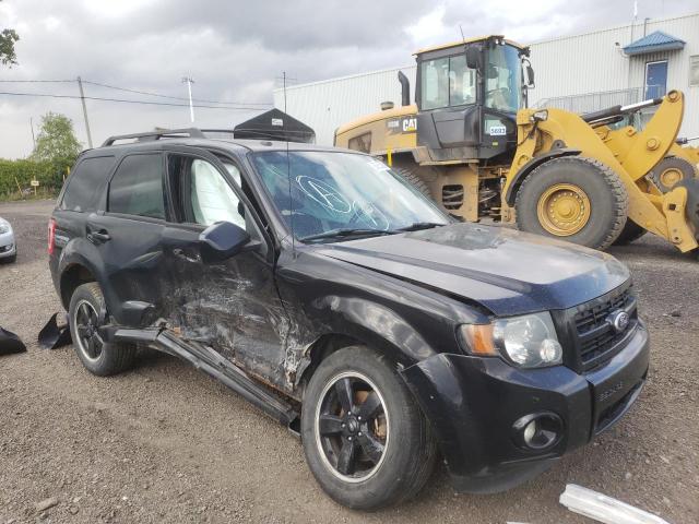 Photo 1 from auction – 2010 FORD ESCAPE XLT with VIN 1FMCU9DG0AKC39319