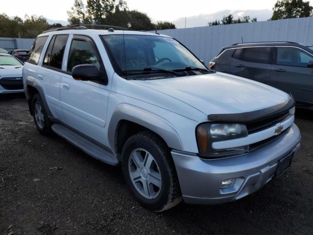 Photo 1 from auction – 2005 CHEVROLET TRAILBLAZE with VIN 1GNDT13S052343423