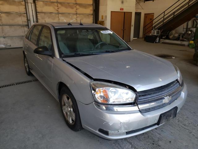 CHEVROLET MALIBU MAX 2004 with VIN 1G1ZU64824F161623 - Photo from auction