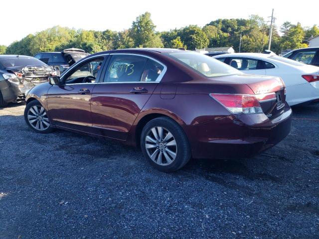 Photo 3 from auction – 2011 HONDA ACCORD EXL with VIN 1HGCP2F88BA048345