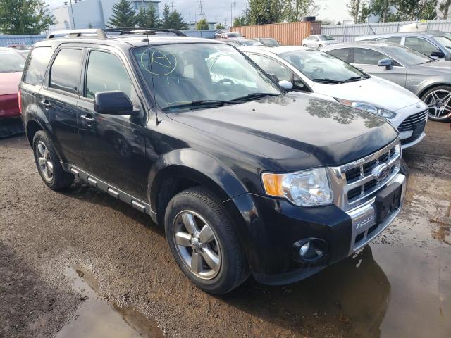 FORD ESCAPE LIM 2009 with VIN 1FMCU04G69KD11728 - Photo from auction