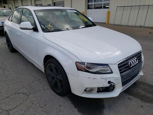 AUDI A4 PREMIUM 2009 with VIN WAUSF78K19N037531 - Photo from auction