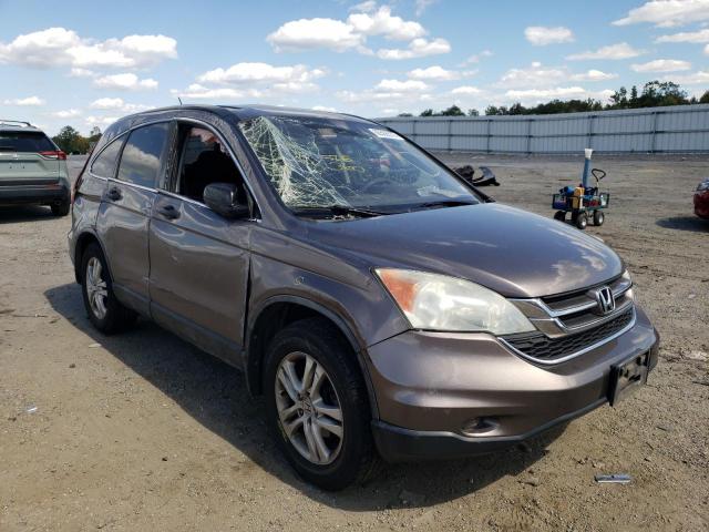 HONDA CRV EX 2011 with VIN 5J6RE4H54BL002507 - Photo from auction