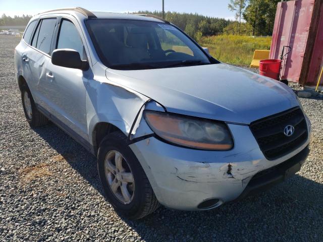 HYUNDAI SANTA FE G 2008 with VIN 5NMSG13D58H148424 - Photo from auction
