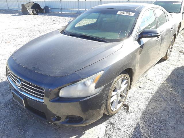 Photo 2 from auction – 2009 NISSAN MAXIMA S with VIN 1N4AA51E29C822566