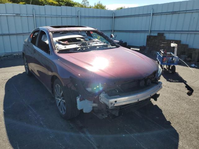 ACURA TLX TECH 2015 with VIN 19UUB3F56FA010469 - Photo from auction
