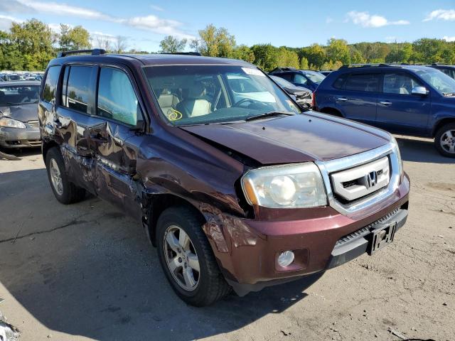 HONDA PILOT EXL 2011 with VIN 5FNYF4H54BB097006 - Photo from auction