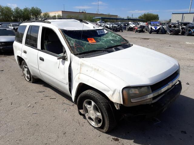 CHEVROLET TRAILBLAZE 2007 with VIN 1GNDS13S072285223 - Photo from auction