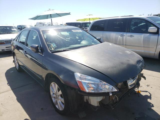 HONDA ACCORD EX 2007 with VIN 1HGCM66577A016435 - Photo from auction