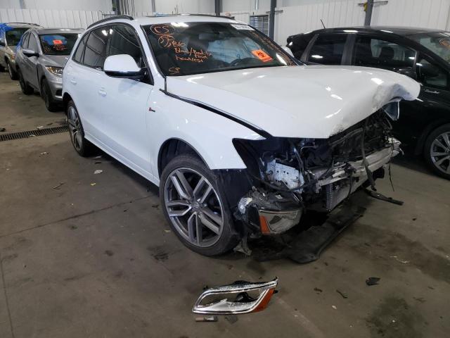 AUDI SQ5 PREMIU 2016 with VIN WA1CCAFPXGA143440 - Photo from auction