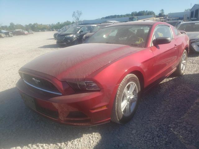 Photo 2 from auction – 2014 FORD MUSTANG with VIN 1ZVBP8AM4E5315461