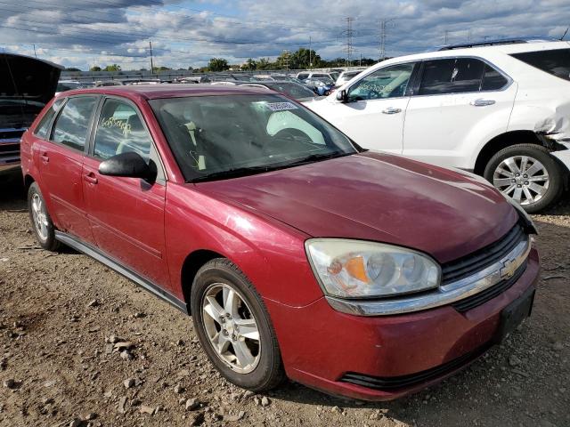 CHEVROLET MALIBU MAX 2005 with VIN 1G1ZT64865F188294 - Photo from auction