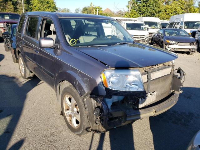HONDA PILOT EX 2014 with VIN 5FNYF4H41EB007421 - Photo from auction