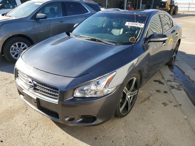 Photo 2 from auction – 2013 NISSAN MAXIMA S with VIN 1N4AA5AP0DC839246
