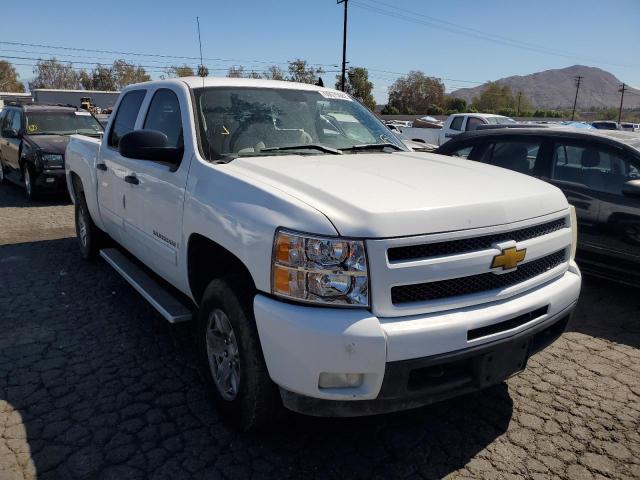 CHEVROLET SILVERADO 2008 with VIN 2GCEC13JX81338383 - Photo from auction