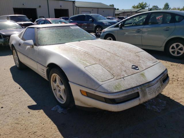 CHEVROLET CORVETTE 1991 with VIN 1G1YY2389M5113181 - Photo from auction