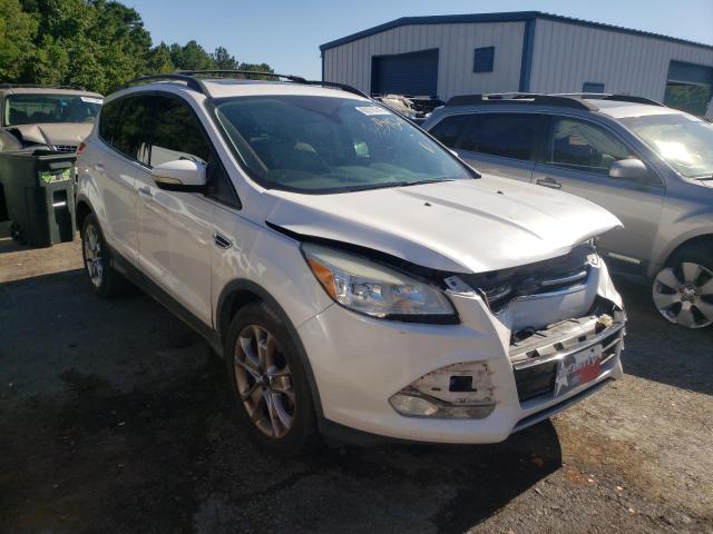 FORD ESCAPE SEL 2013 with VIN 1FMCU0HX1DUB95295 - Photo from auction