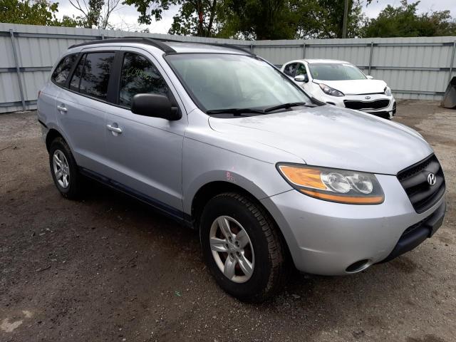 HYUNDAI SANTA FE G 2009 with VIN 5NMSG13D49H304373 - Photo from auction