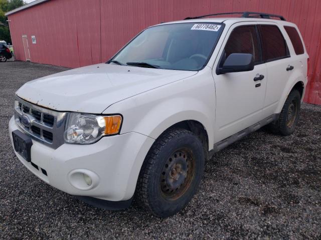 Photo 2 from auction – 2009 FORD ESCAPE XLT with VIN 1FMCU93G89KC33250