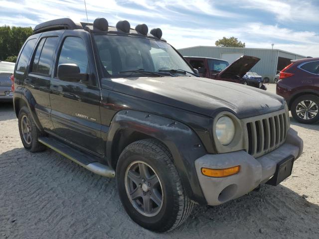 JEEP LIBERTY 2003 with VIN 1J8GL38K23W538352 - Photo from auction