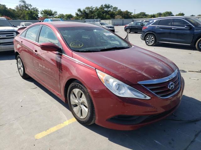 HYUNDAI SONATA GLS 2014 with VIN 5NPEB4AC2EH818954 - Photo from auction