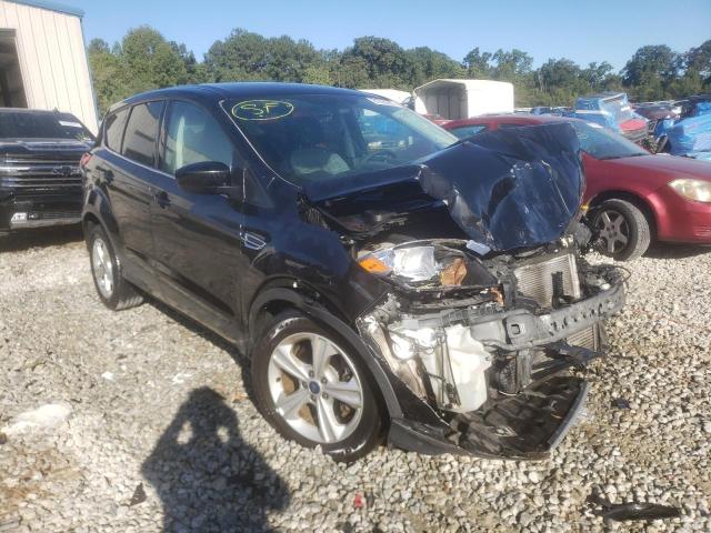 FORD ESCAPE SE 2014 with VIN 1FMCU0GX5EUD00343 - Photo from auction