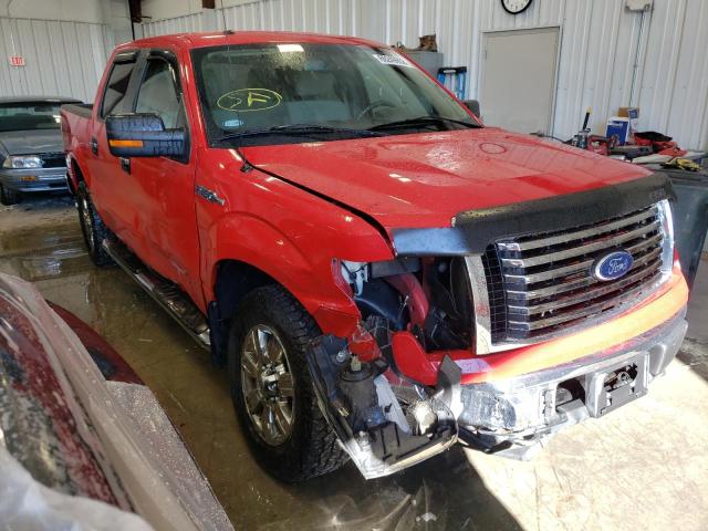 Photo 1 from auction – 2010 FORD F150 SUPER with VIN 1FTFW1EV6AKC11115