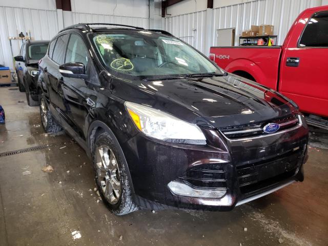 FORD ESCAPE SEL 2013 with VIN 1FMCU9H9XDUB87203 - Photo from auction