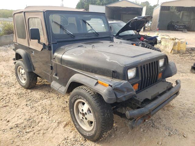 JEEP WRANGLER 1993 with VIN 1J4FY19P7PP256401 - Photo from auction
