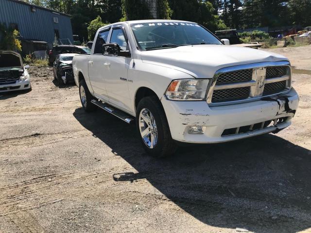 DODGE RAM 1500 2009 with VIN 1D3HV13T09J534274 - Photo from auction