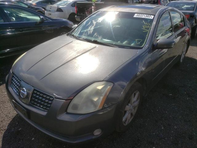 Photo 2 from auction – 2004 NISSAN MAXIMA SE with VIN 1N4BA41EX4C904651