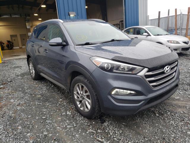 HYUNDAI TUCSON LIM 2017 with VIN KM8J3CA48HU330998 - Photo from auction