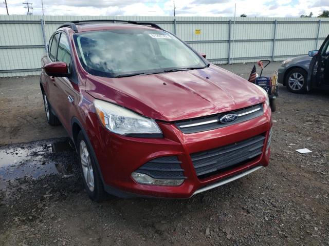 FORD ESCAPE SE 2013 with VIN 1FMCU0GX9DUC99583 - Photo from auction